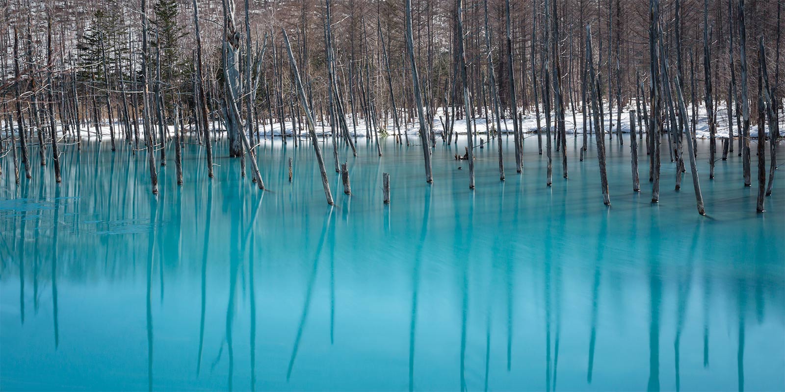 Biei Blue Lake 青い池
