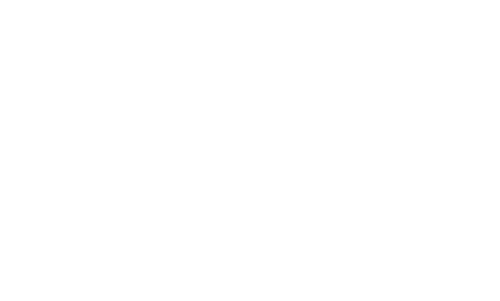 Smardt-logo